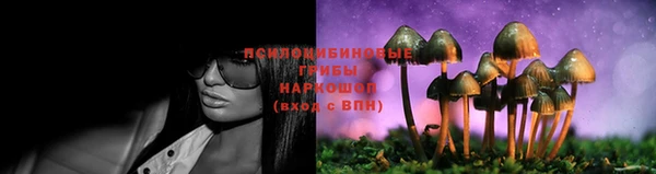 сатива Алексеевка