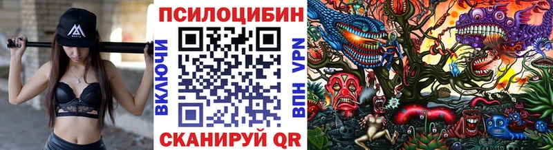 Галлюциногенные грибы мицелий Себеж